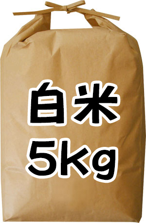 ���� 5kg