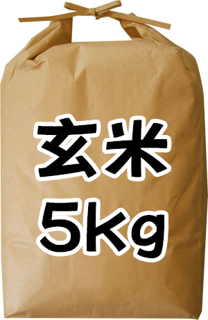 ���� 5kg